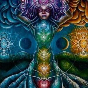 Meet your Posher, Lovely